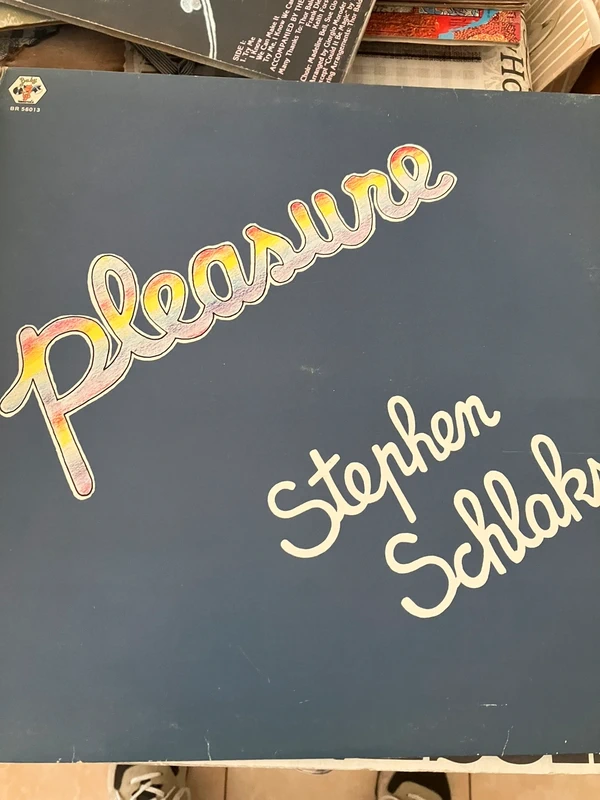 Pleasure - Stephen Schlaks