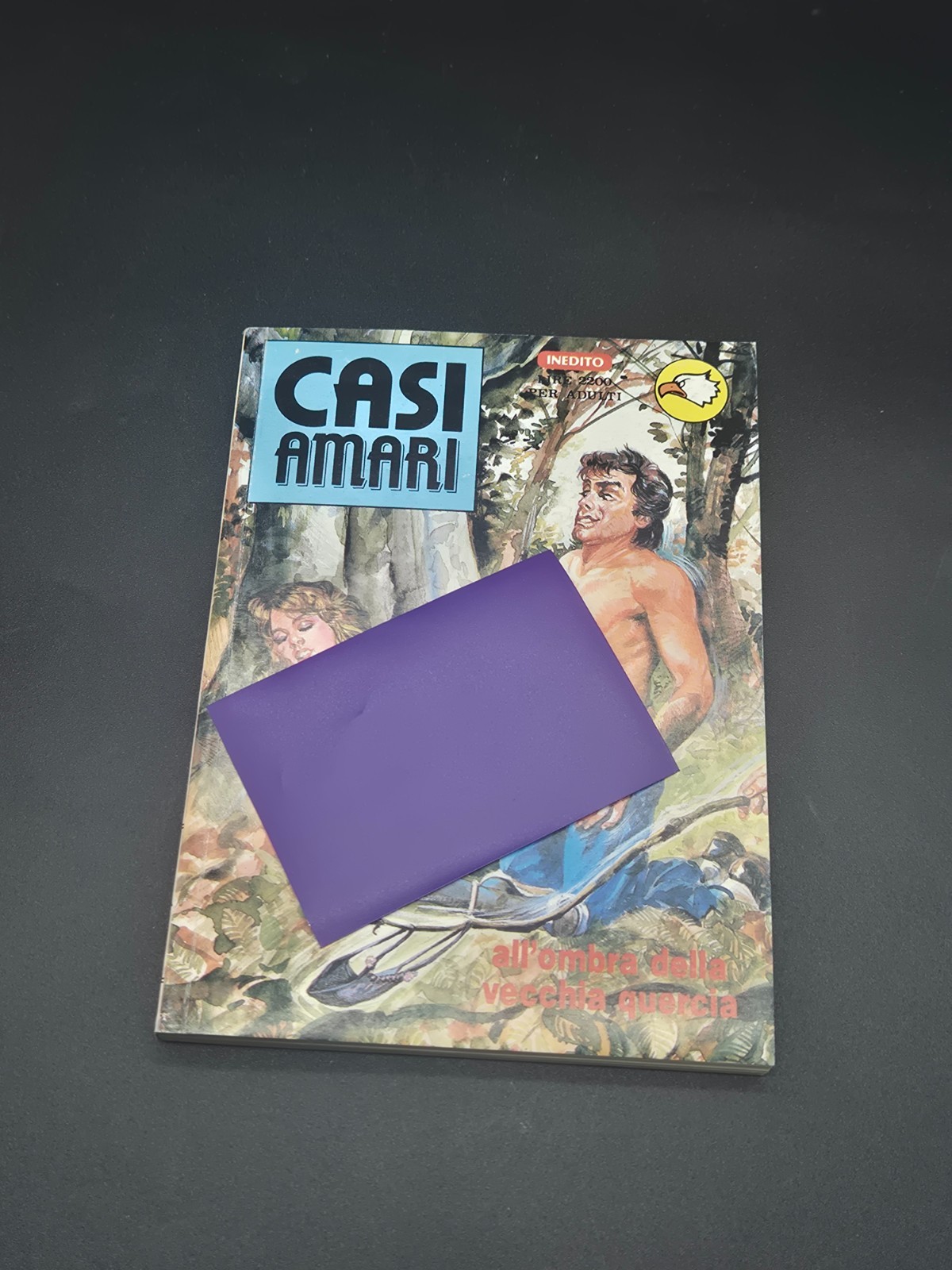 FUMETTO CASI AMARI  EDIPERIODICI  N  13 OTTIMO  