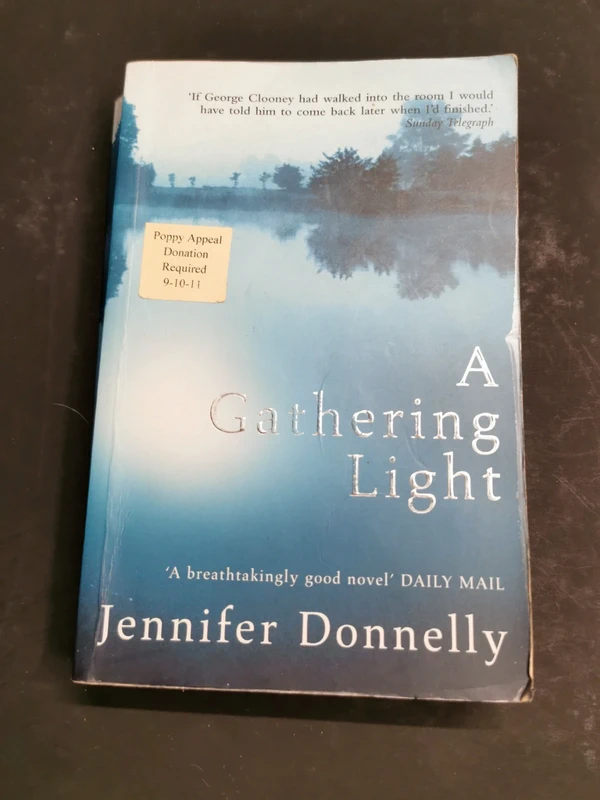 A Gathering Light by Jennifer Donnelly