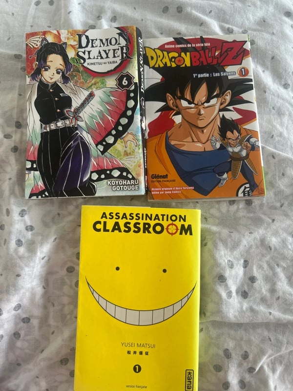 Lot de 3 mangas