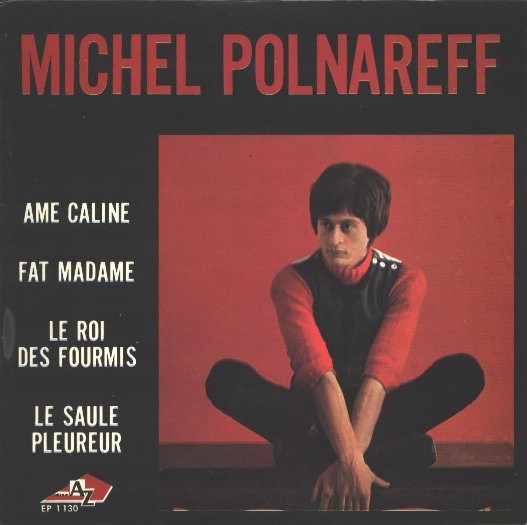 Michel Polnareff Âme Caline - 45T x 1