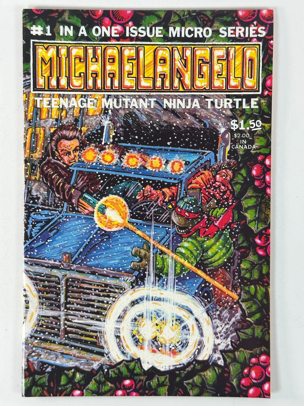 Teenage Mutant Ninja Turtles Michelangelo Micro Serie #1 Mirage Comics