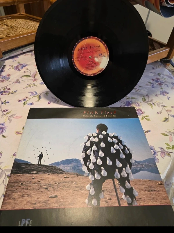 2 Dischi in vinile