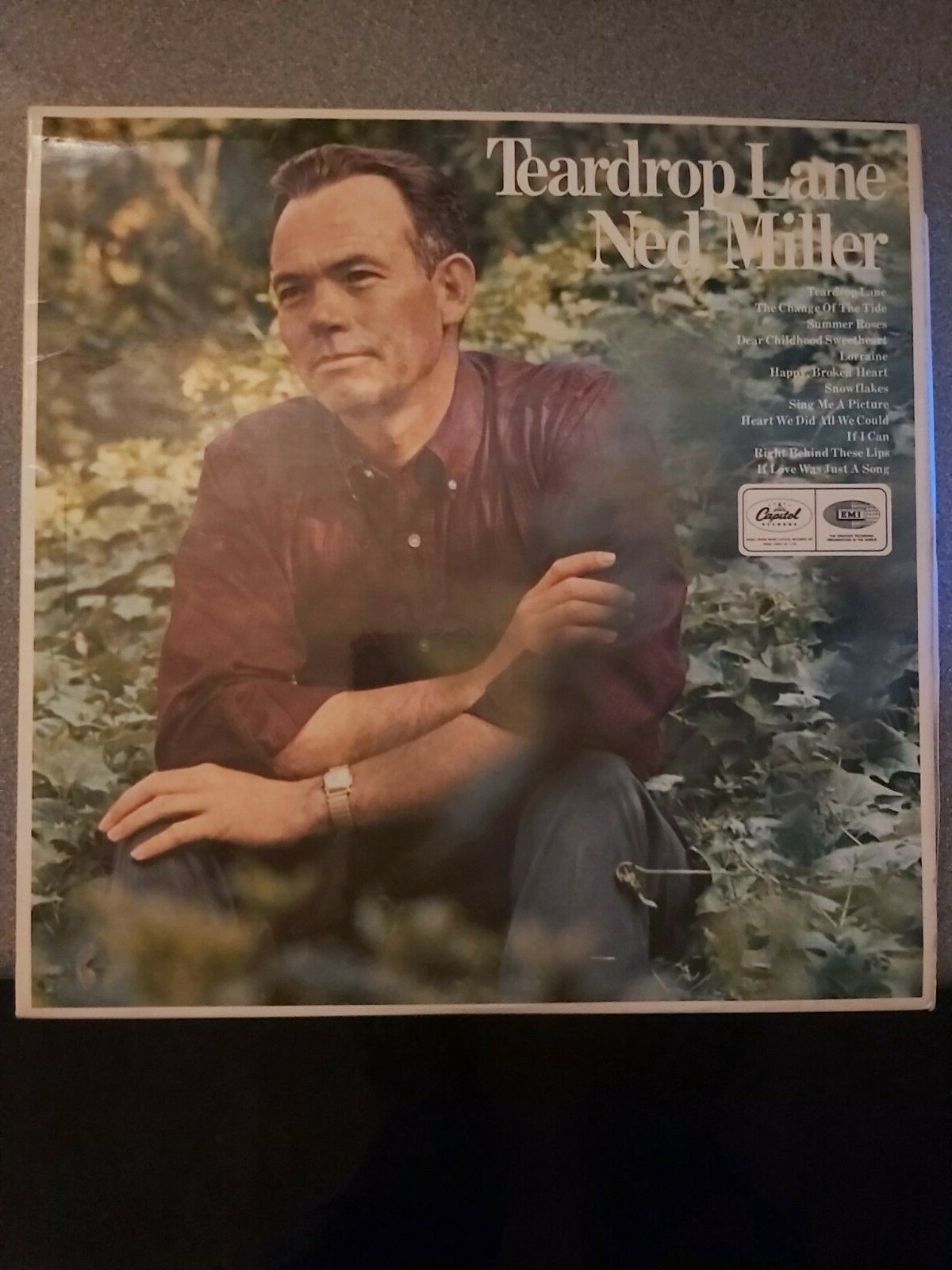 Ned Miller – Teardrop Lane (ST2586) 1967 (LP)