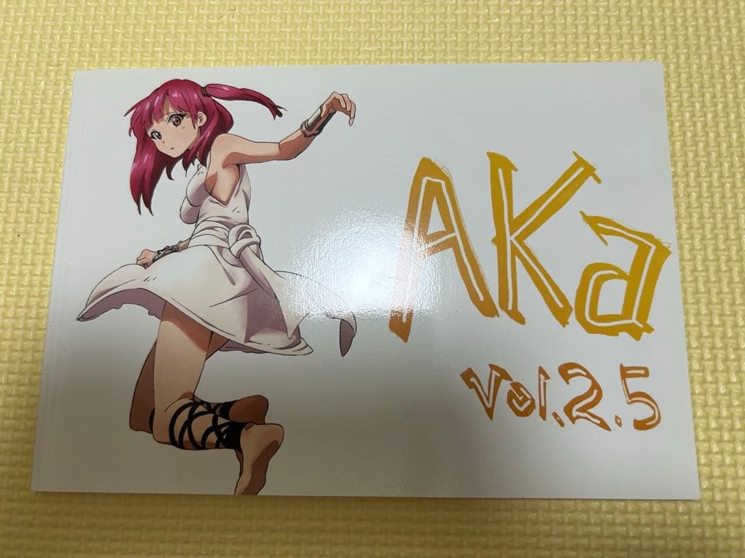 Magi Aka Vol.2.5 Toshifumi Akai Art Book A5 2013 AKAFUGO da collezione 15+