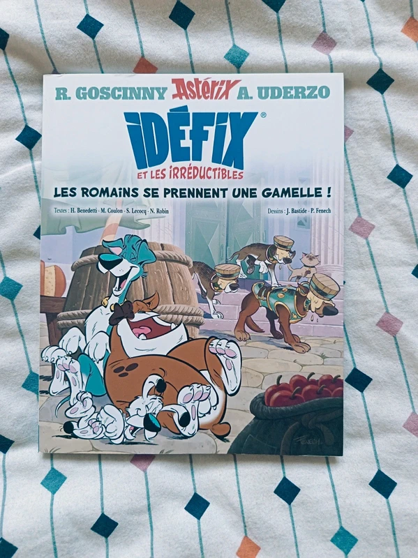 Livre Idéfix et les Irréductibles Les Romains se prennent une gamelle – BD Astérix