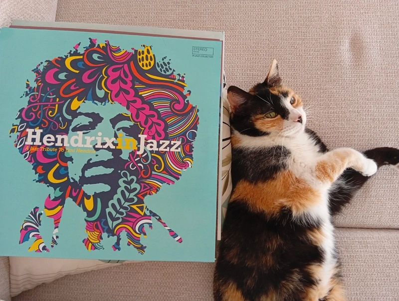 🎸 Hendrix in Jazz – A Jazz Tribute to Jimi Hendrix Vinilo LP