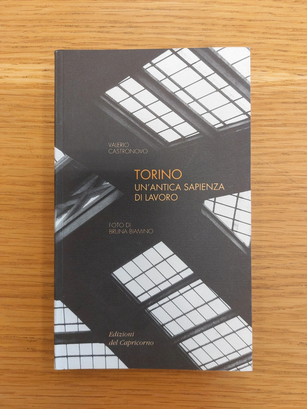 Torino un'antica sapienza di lavoro / Valerio Castronovo