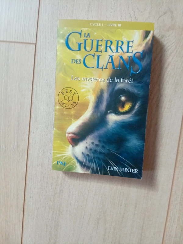 La gerre des clans
