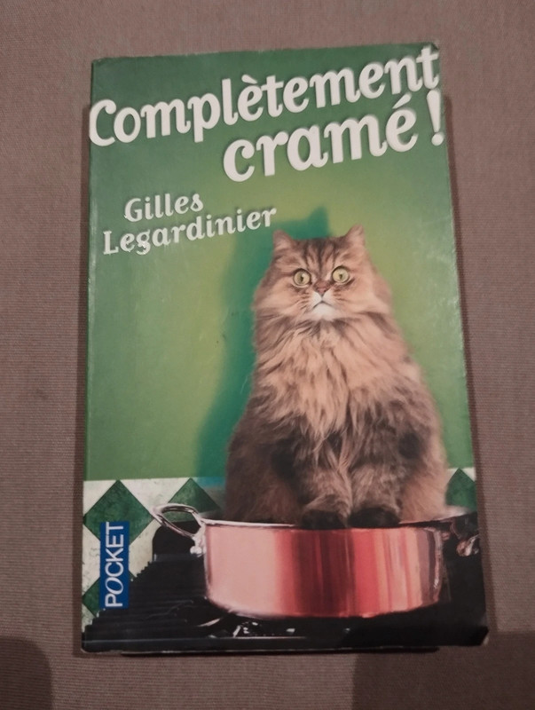 Complètement cramé ! - Gilles Legardinier
