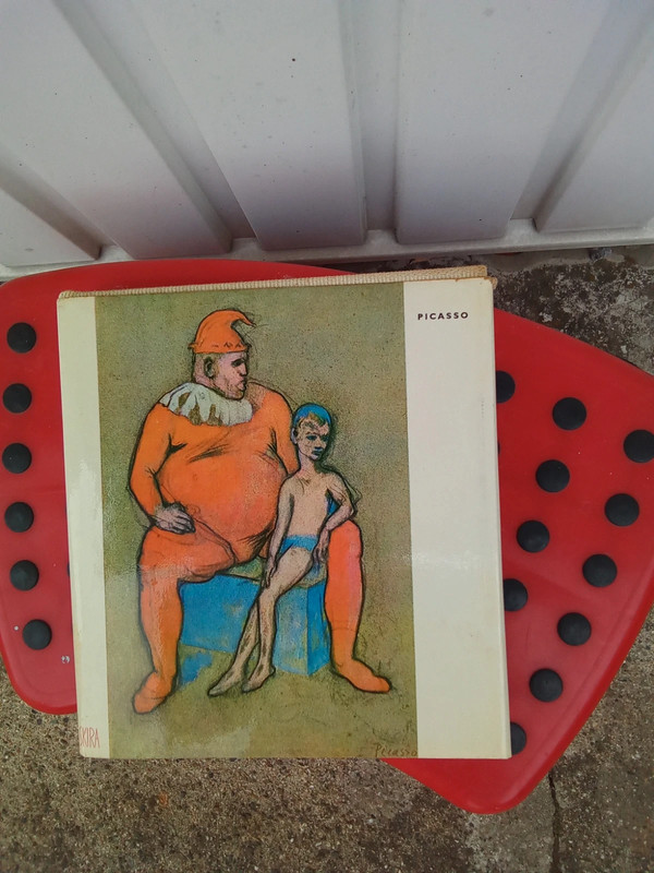 Livre de Picasso