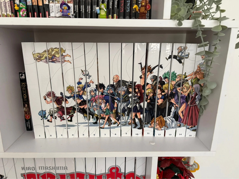 Collection complète fairy tail