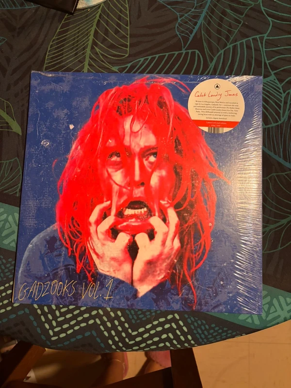 Vinyl Caleb Landry Jones Gadzooks Vol. 1