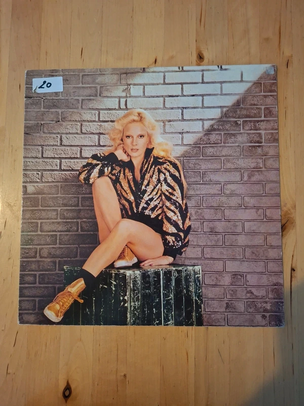 Vinyle 45t maxi Sylvie Vartan I don't want the night to end