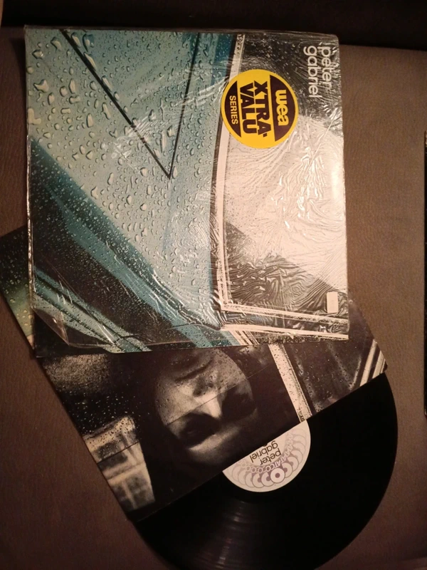 Vinile 33 giri