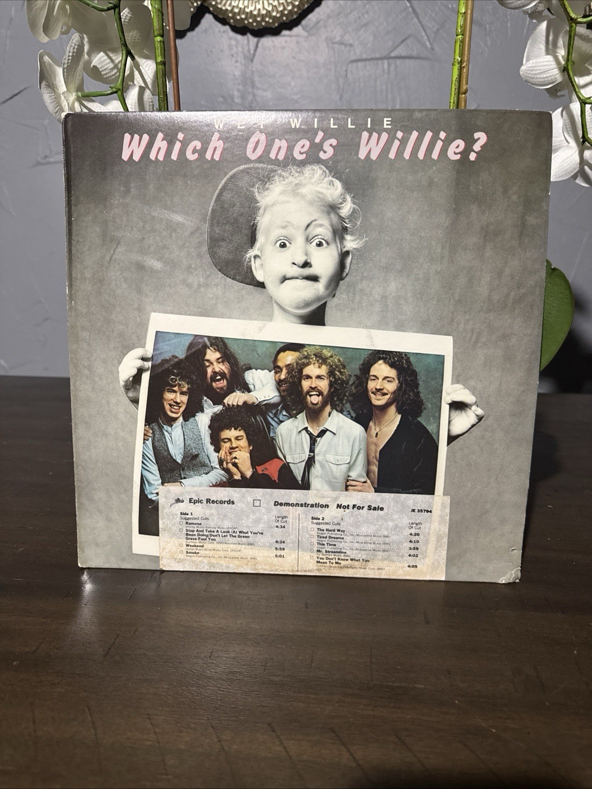 Wet Willie – Which One's Willie? 1979 LP Vinyl PROMO Epic Rock Pop VG+