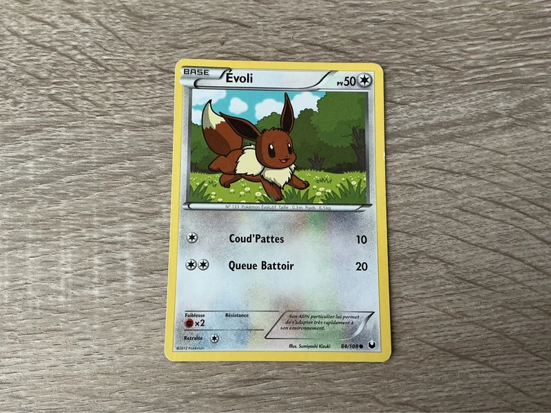 Evoli 84/108