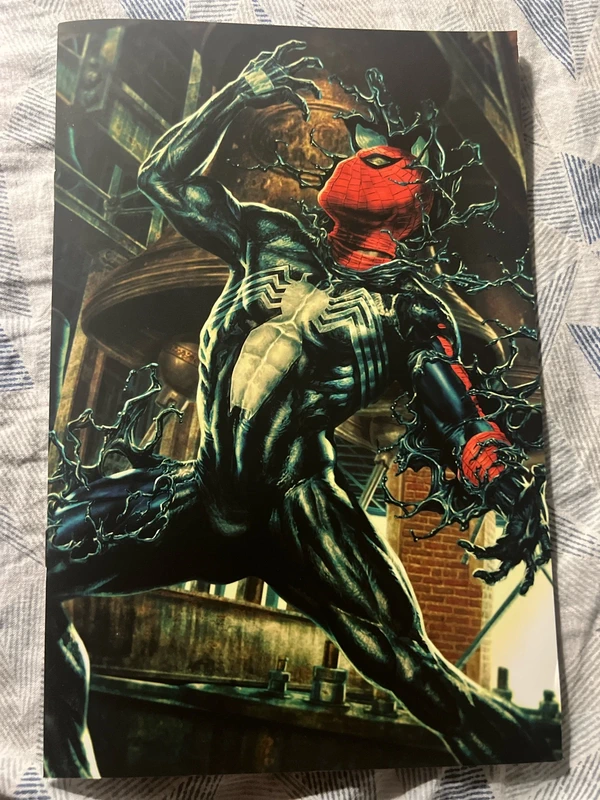 Amazing Spider-Man: Divisi 1 variant Amazing Visions di Lee Bermejo