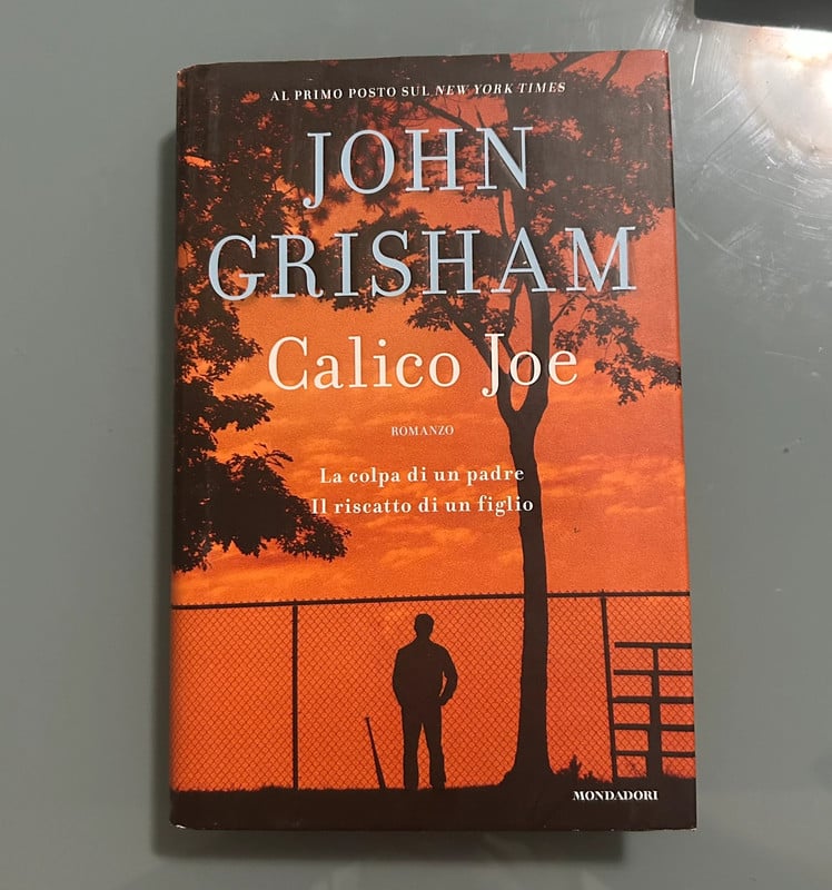Calico Joe – John Grisham