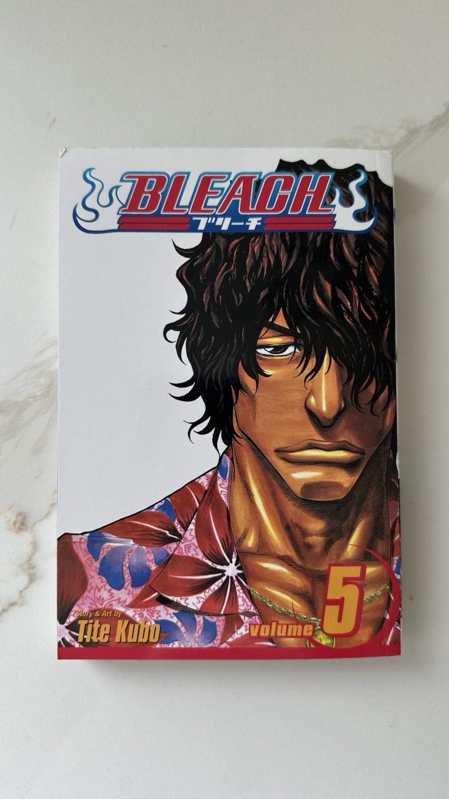 Bleach Manga Vol. 5