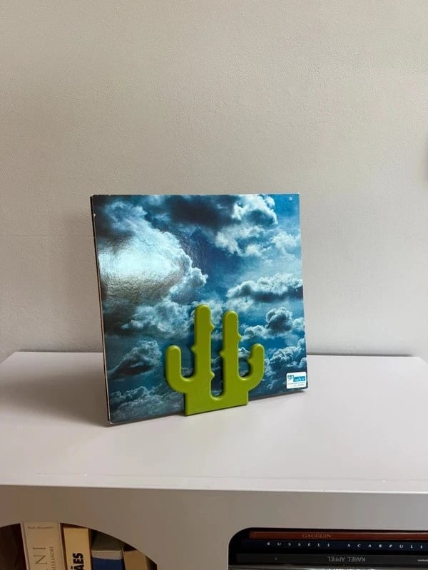 j-me original design cactus organizer & vinyl display groen