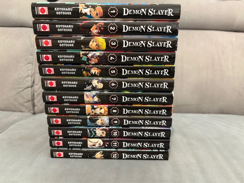 Manga Demon Slayer lot