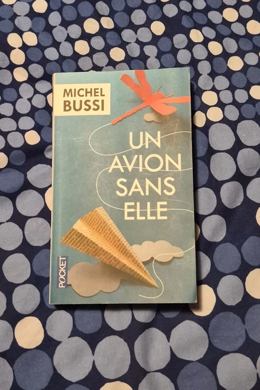 Un avion sans elle