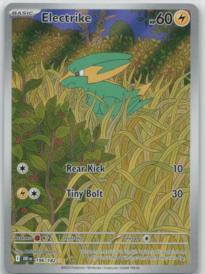 Electrike 196/182 Illustration Rare Destined Rivals Pokemon Holo Near Mint