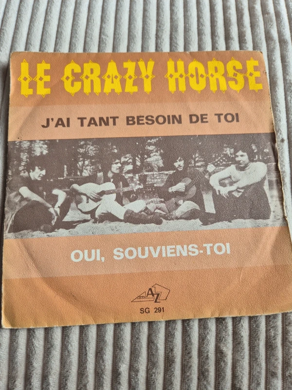 45T le crazy horse j ai tant besoin de toi