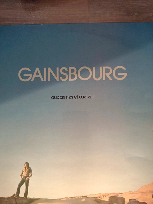 33t serge Gainsbourg 9101218 fr