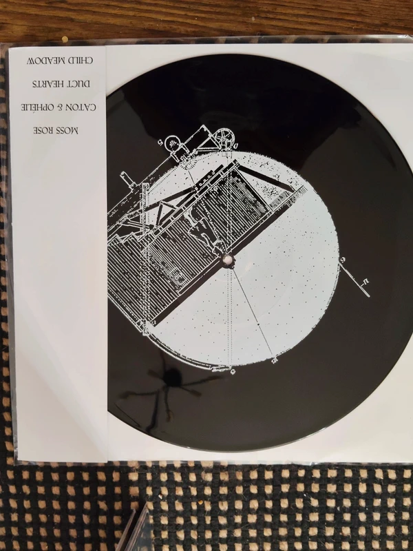 Vinyle compilation hardcore