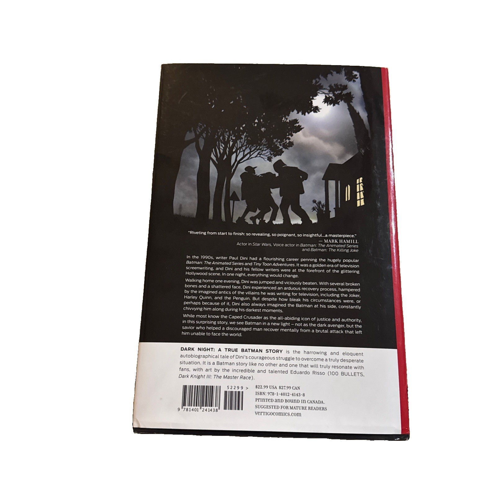 Dark Night A True Batman Story graphic novel Vertigo Paul Dini