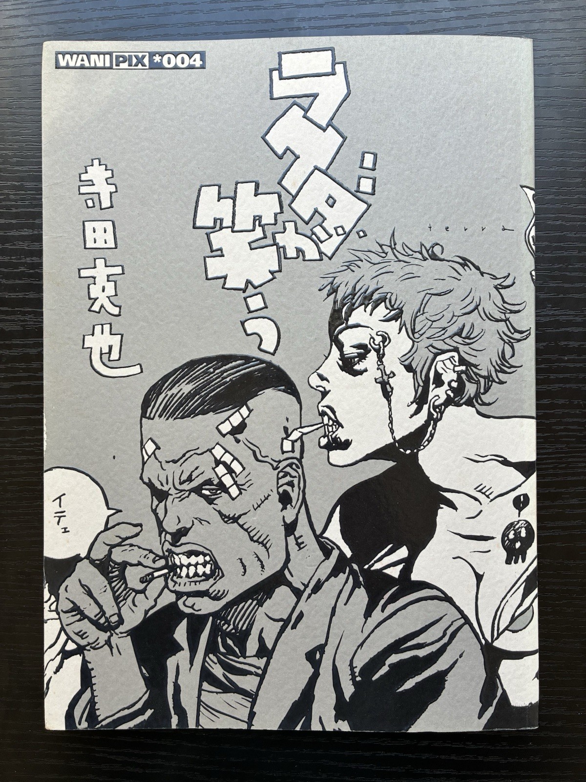 KATSUYA TERADA Wani pix MANGA libro d'arte cammello ride