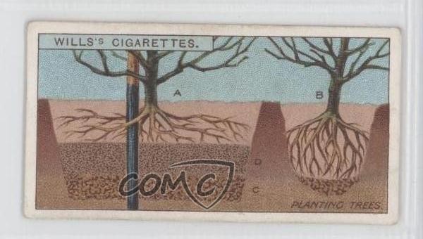 1923 Wills Giardinaggio Suggerimenti Tabacco Piantare Alberi #2 0a1