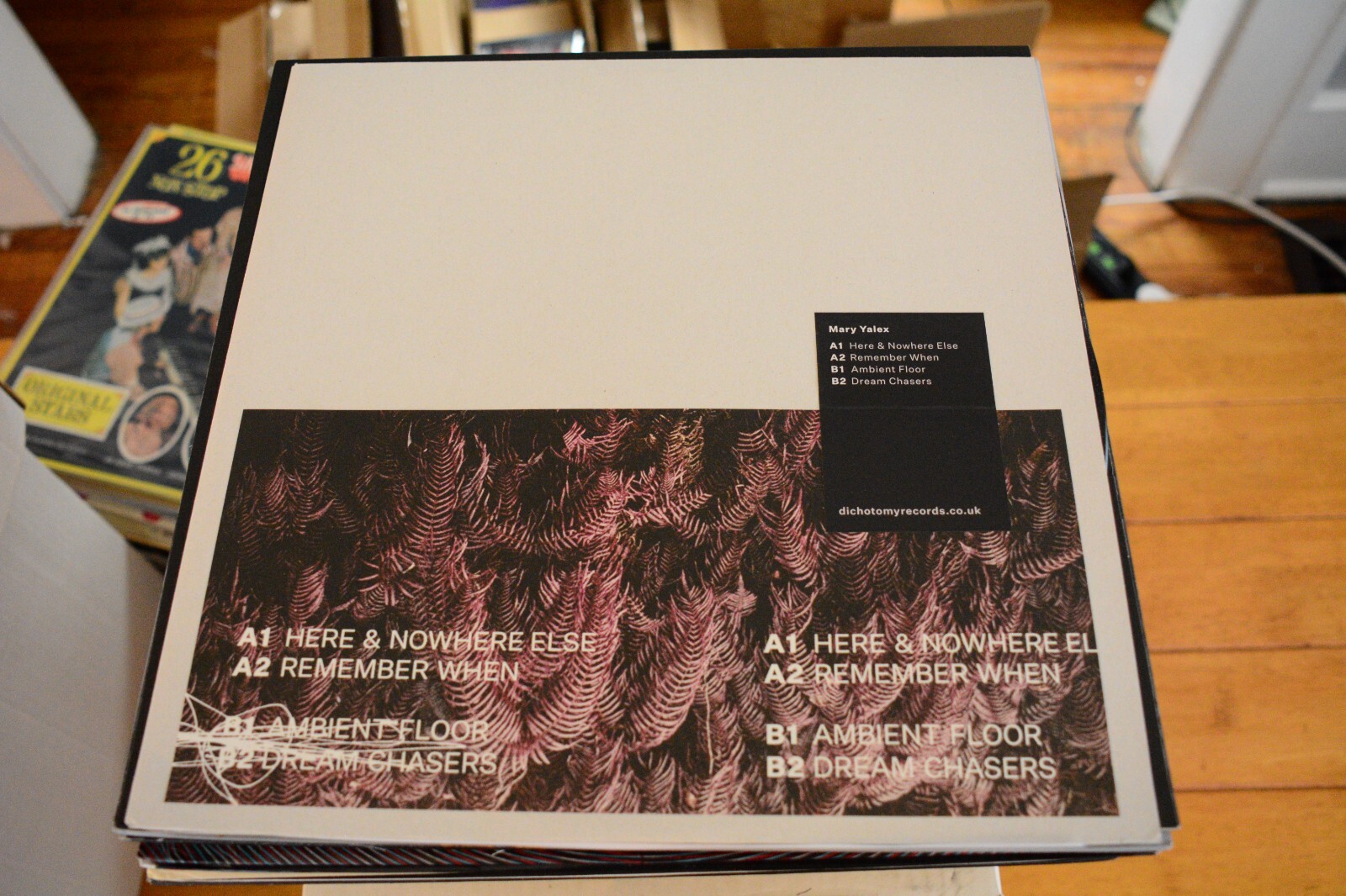 MARY YALEX "REMEMBER WHEN EP" 12" UK DEEP HOUSE AMBINET IDM DJ VINYL *NEAR MINT*
