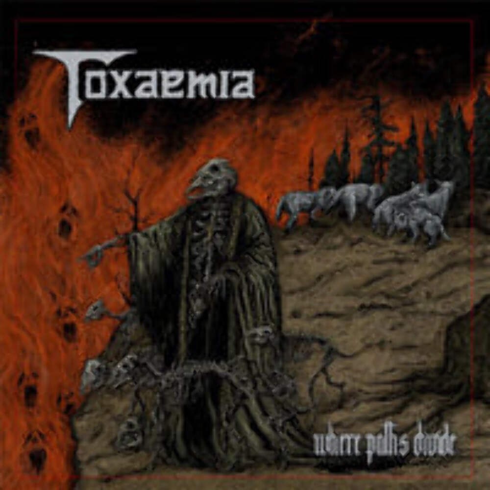 Toxaemia - Where Paths Divide - Death Metal - Music Vinyl LP