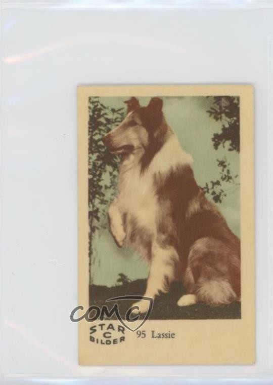 1962 Dutch Gum Star Bilder C Food Issue Lassie #95 0i4g