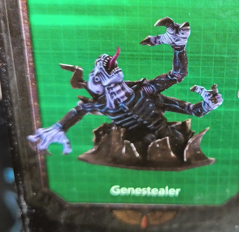 Geneasteler Space Hulk au sol 7
