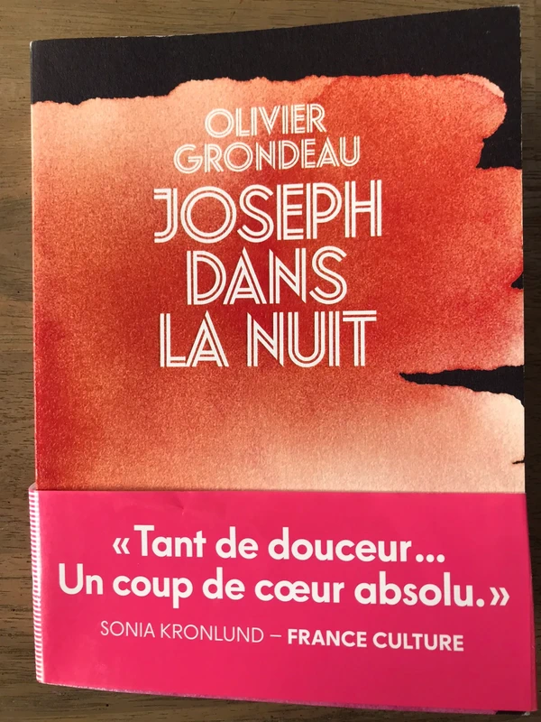 Livre neuf « Joseph dans la nuit »