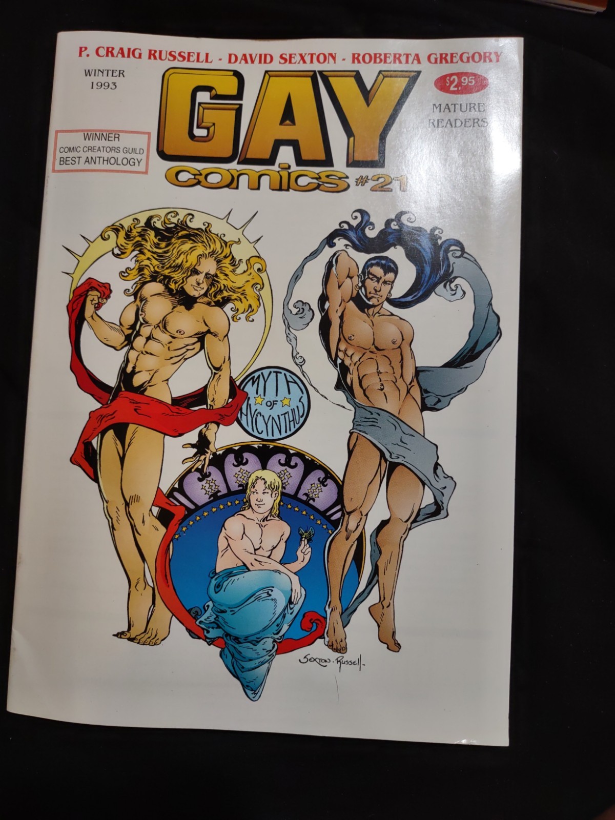 Raro Gay Comix #21, interesse gay