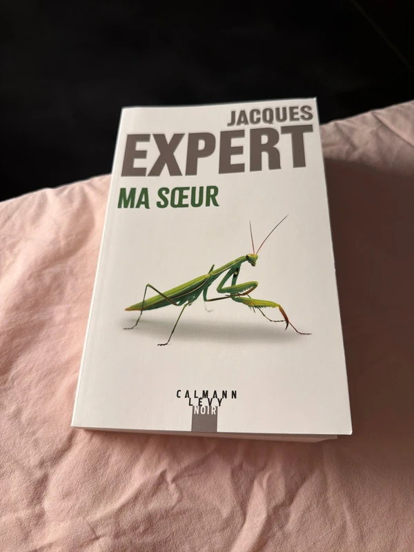 Roman : Ma sœur