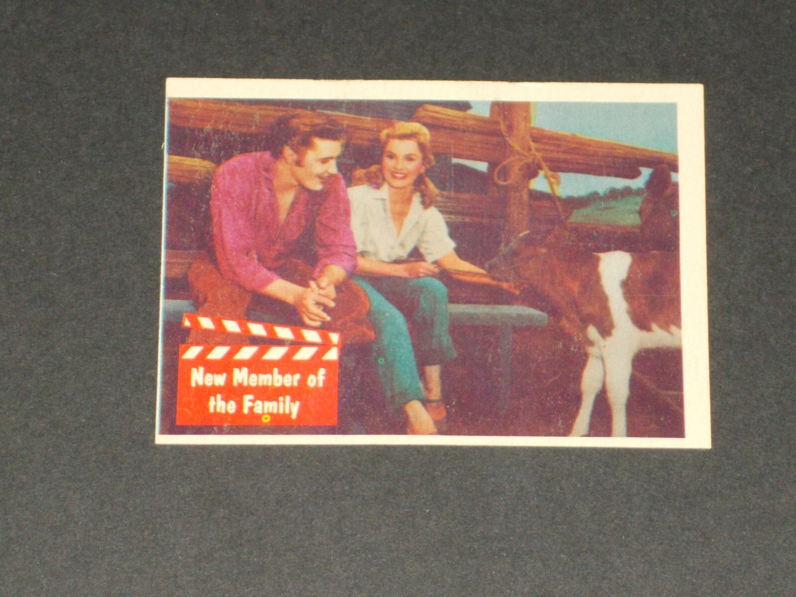 Elvis Presley (R710-1) Topps 1956, #49, CARTOLINA ESTREMAMENTE BELLA!!!