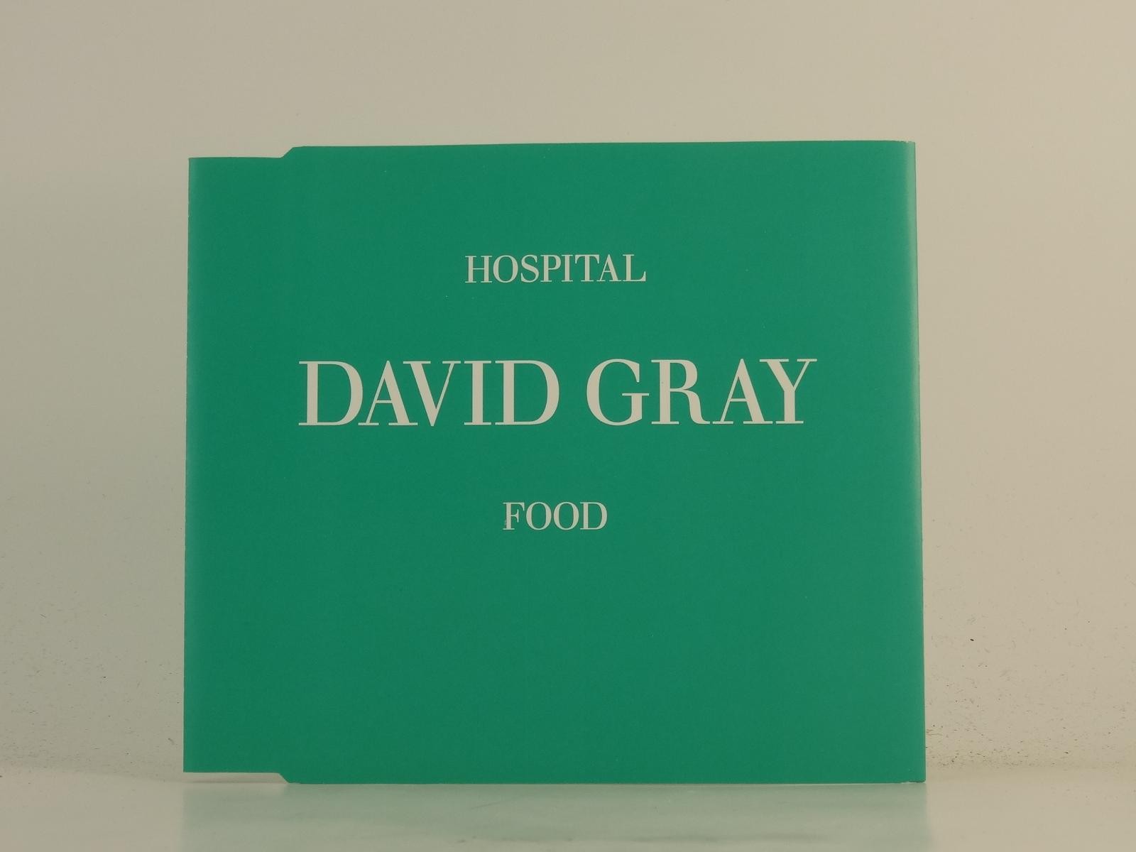 DAVID GRAY HOSPITAL FOOD (H1) 1 Track Promo CD Single plus Picture Sleeve IHT