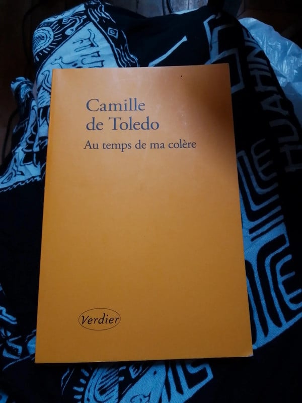 Ouvrage de Camille Toledo