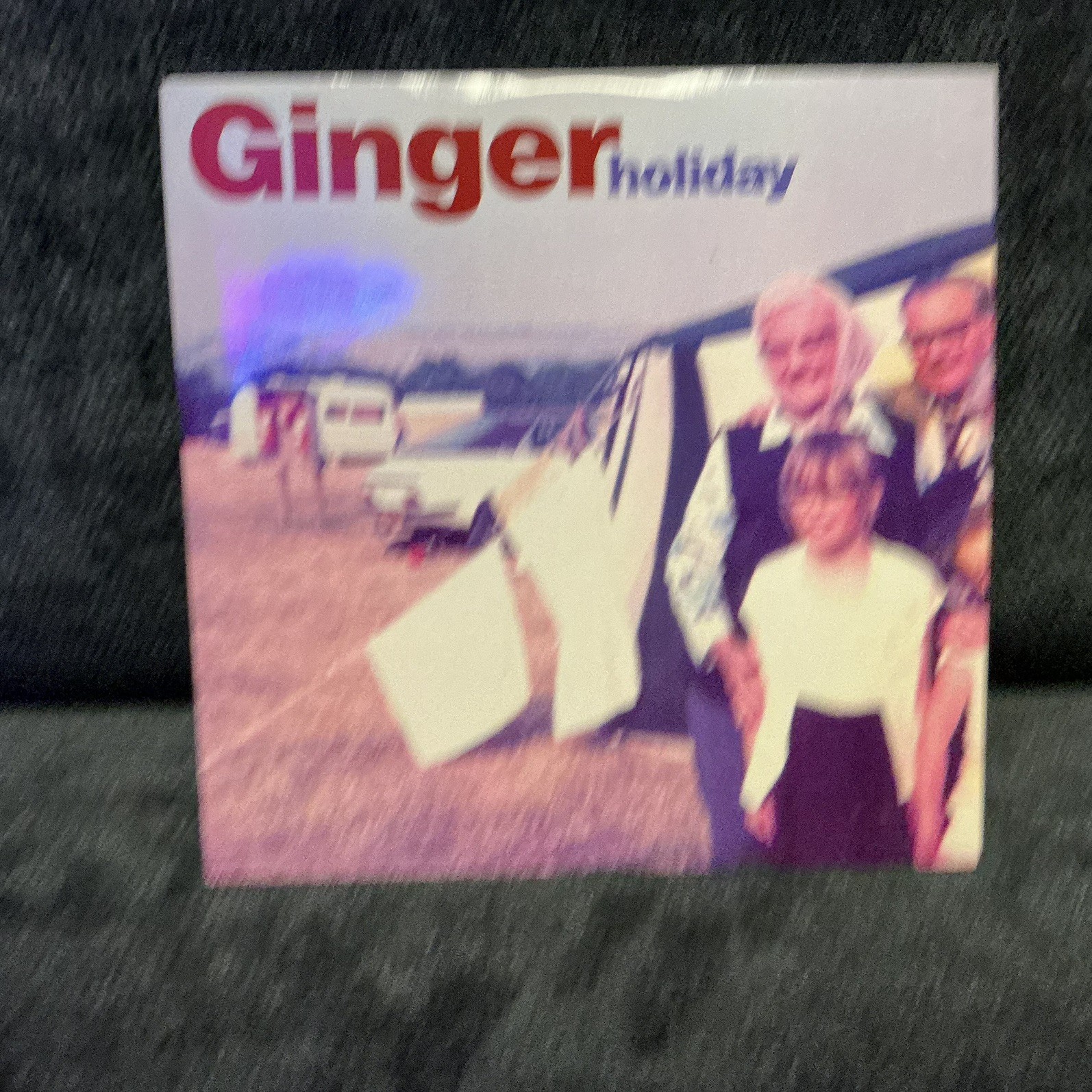 Ginger Wildheart - Holiday / Casino Bay CD Single