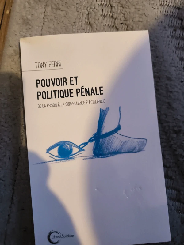 Pouvoir et politique penale ) de la prison à la surveillance électronique