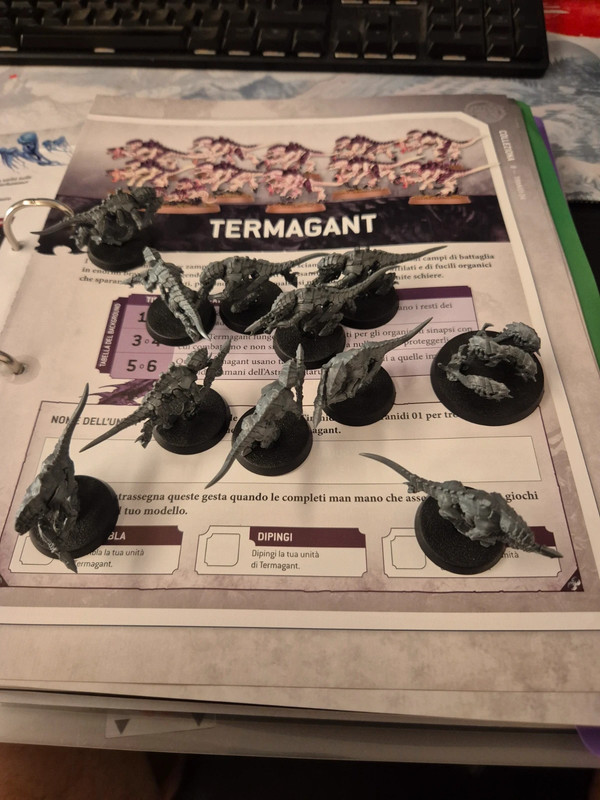 Squadra termangant tiranide