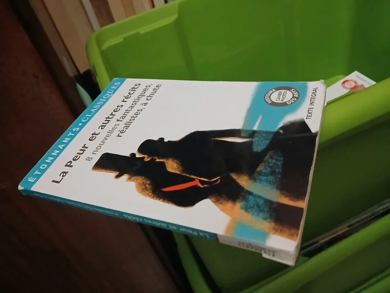Étonnants classiques La peur et autres recits