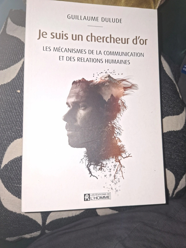 Je suis un chercheur d'or