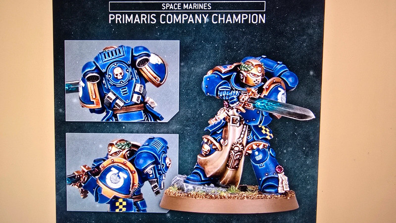 Primaris Company Champion